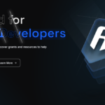 Ronin Network Drops $10M to Lure Web3 Developers: Here’s What You Need to Know