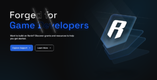 Ronin Network Drops $10M to Lure Web3 Developers: Here’s What You Need to Know